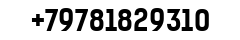 Плиточник
