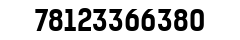 Lion Motors